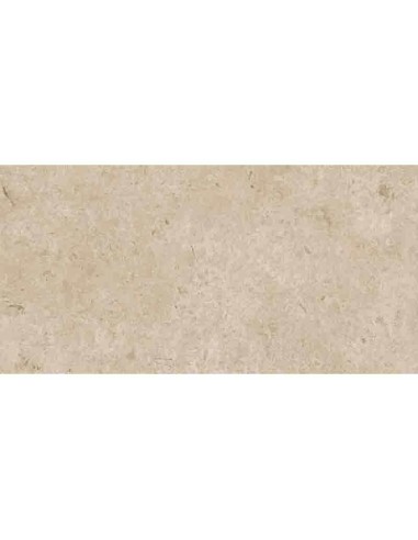 Porcelánico CARÁCTER Greige 60x120cm
