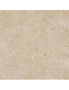 Porcelánico CARÁCTER Greige 60x60cm