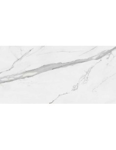 Azulejo CELLINI Brillo 30x60cm