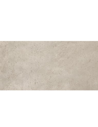 Gres porcelánico LITOS Sabana 60x120cm