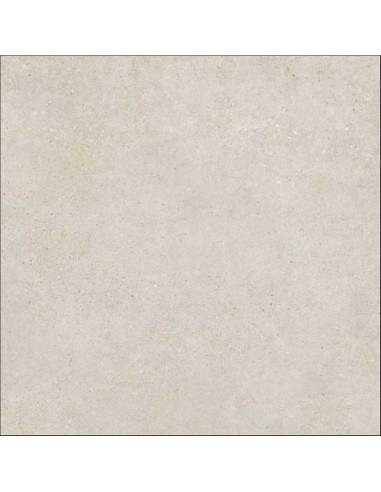 Porcelánico PANGEA Greige antislip 120x120cm