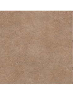 Porcelánico PANGEA Tierra antislip 120x120cm
