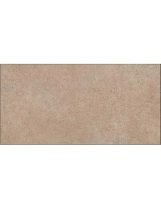 Porcelánico PANGEA Tierra antislip 60x120cm