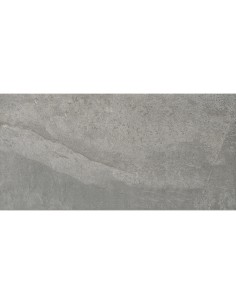 Gres porcelánico PIETRO Grey Antideslizante 48,8x97,9cm