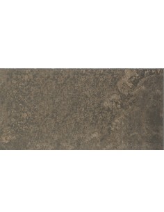 Gres porcelánico PIETRO Dark Antideslizante 48,8x97,9cm