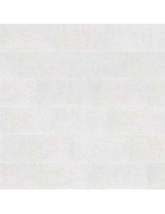 Gres porcelánico ICONIC White 48,8x97,9cm