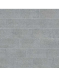 Gres porcelánico ICONIC Grey Antideslizante 48,8x97,9cm