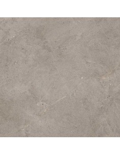 Porcelánico NATURALIA Taupe C2 60x60 cm