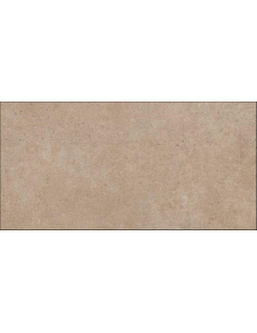 Porcelánico PANGEA Tierra 60x120cm