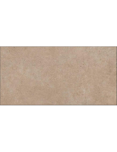 Porcelánico PANGEA Tierra 60x120cm