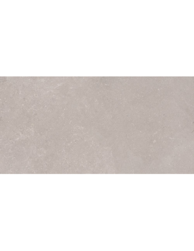 Porcelánico VILLAGE Vision 60x120cm