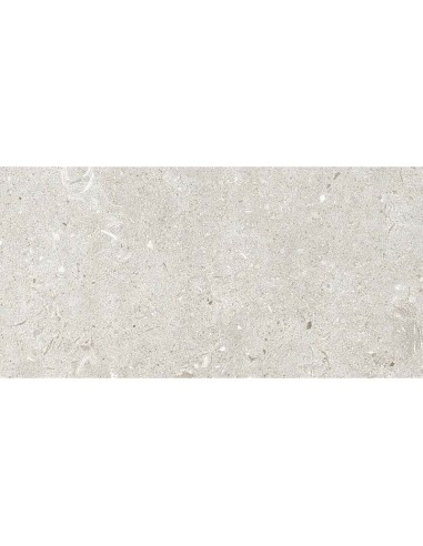 Porcelánico BEREN Light Grey AS 60x120cm