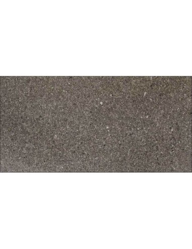 Porcelánico LYON Taupe Pulido 30x60cm