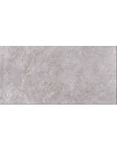 Porcelánico ARLES Gris 60x120cm