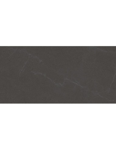 Porcelánico SEINE Cemento 44,3x89,3cm