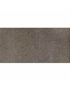 Porcelánico LYON Taupe Pulido 40x80cm