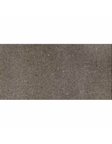 Porcelánico LYON Taupe Pulido 40x80cm