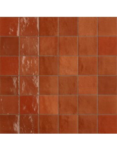 Azulejo ZELLIGE Corallo