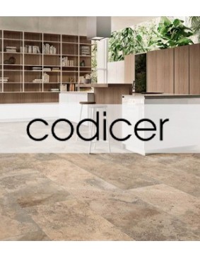 Codicer